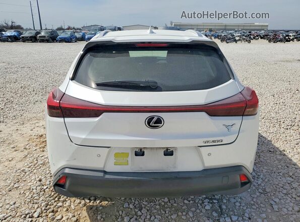 JTHP3JBH7M2040678 2021 LEXUS UX White Rear view