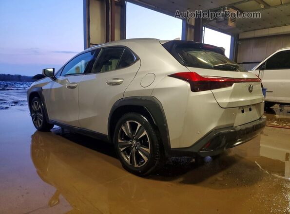 JTHP3JBH8L2023290 2020 LEXUS UX Silver Задня ліва чверть