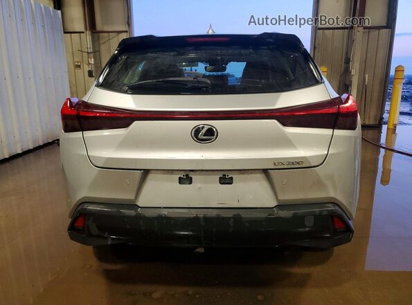 JTHP3JBH8L2023290 2020 LEXUS UX Silver Вид ззаду