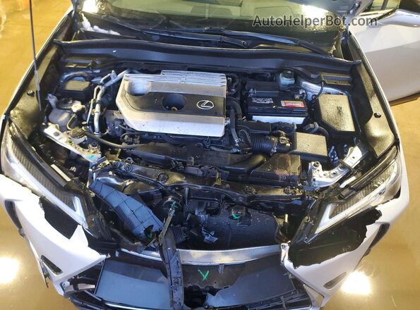 JTHP3JBH8L2023290 2020 LEXUS UX Silver Вид задньої частини салону