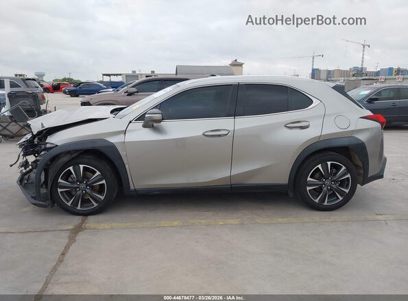 JTHP3JBHXL2021301 2020 LEXUS UX 200 Серый 