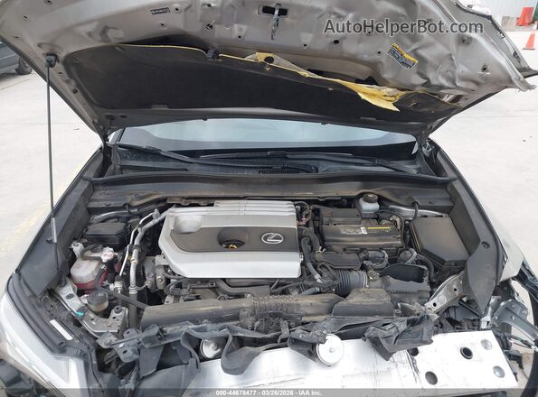 JTHP3JBHXL2021301 2020 LEXUS UX 200 Серый Вид сзади
