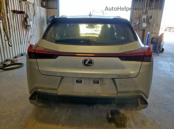 JTHP3JBHXL2031164 2020 LEXUS UX Silver Rear view