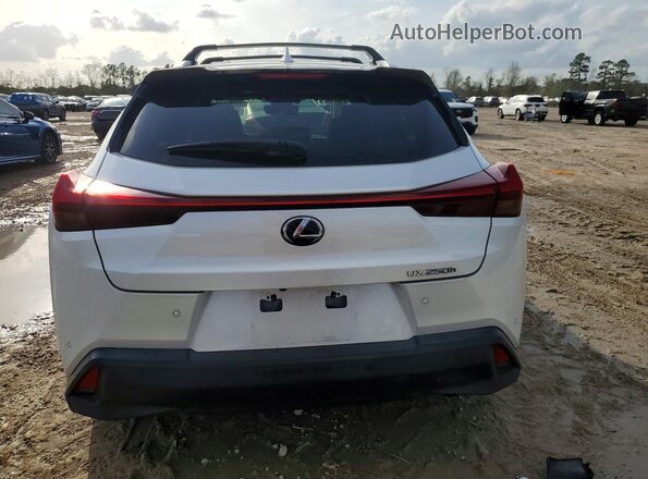 JTHP9JBH0M2042660 2021 LEXUS UX Белый Вид сзади