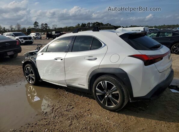 JTHP9JBH0M2042660 2021 LEXUS UX Белый Задняя левая четверть