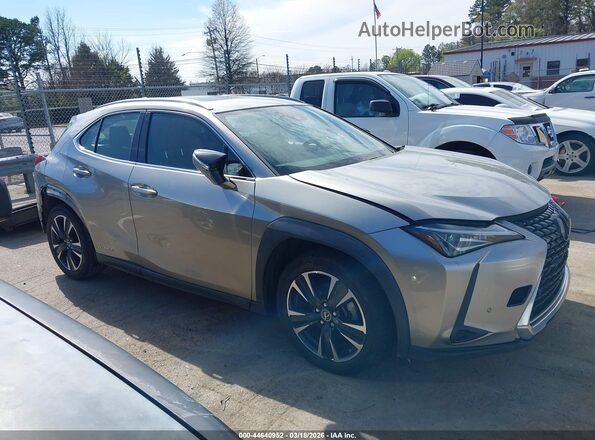 JTHP9JBH1L2020360 2020 LEXUS UX 250H Gray Widok wnętrza z tyłu