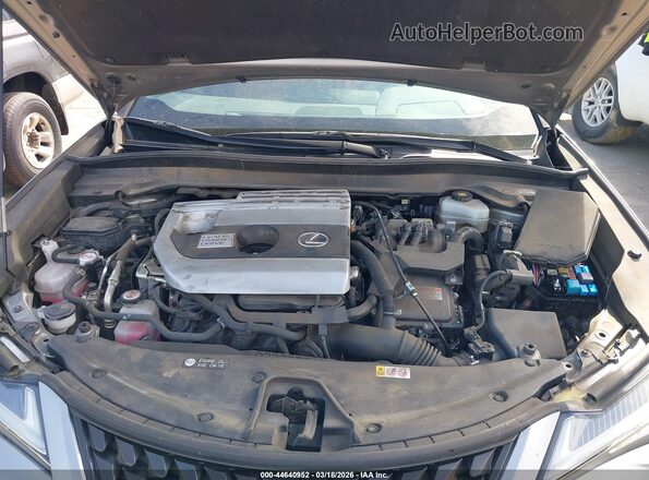 JTHP9JBH1L2020360 2020 LEXUS UX 250H Gray Widok z tyłu