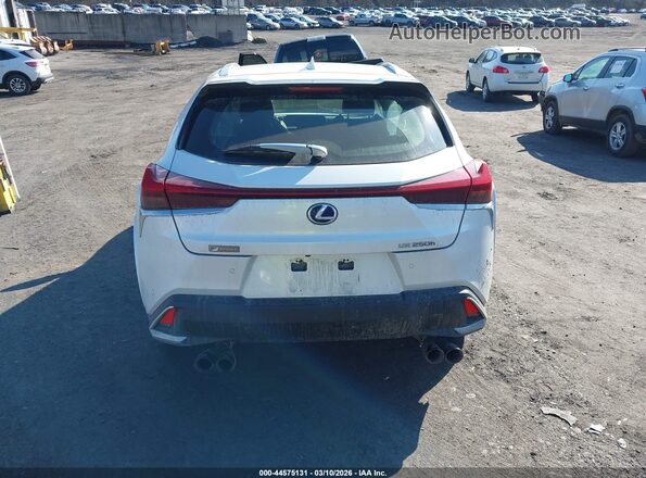 JTHP9JBH1N2056293 2022 LEXUS UX 250H White 