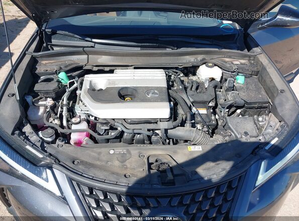 JTHP9JBH1P2070410 2023 LEXUS UX 250H Gray Widok z tyłu