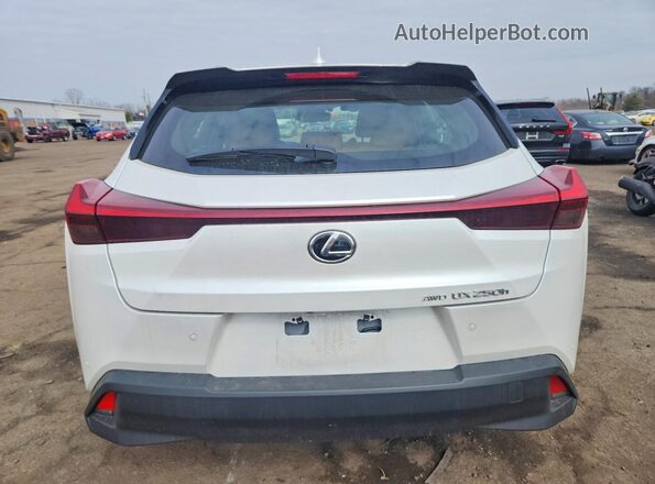 JTHP9JBH2R2074114 2024 LEXUS UX White Հետևի տեսք