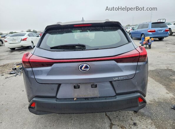 JTHP9JBH3M2040790 2021 LEXUS UX Gray Вид ззаду