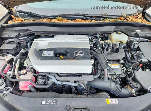 JTHP9JBH3M2040790 2021 LEXUS UX Gray Вид підкапотного простору