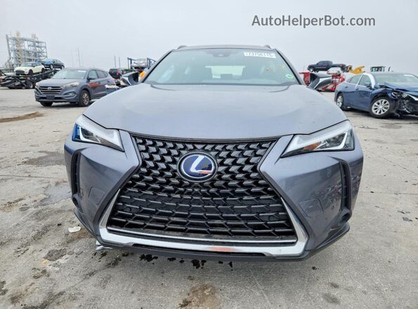 JTHP9JBH3M2040790 2021 LEXUS UX Gray Вид спереду