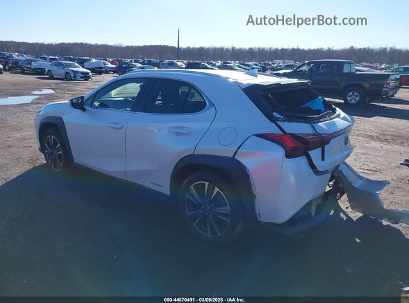 JTHP9JBH4M2041379 2021 LEXUS UX 250H White Задня ліва чверть