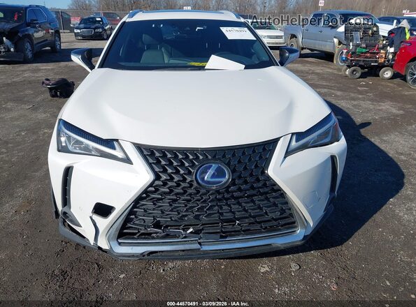 JTHP9JBH4M2041379 2021 LEXUS UX 250H White Вид щитка приладів