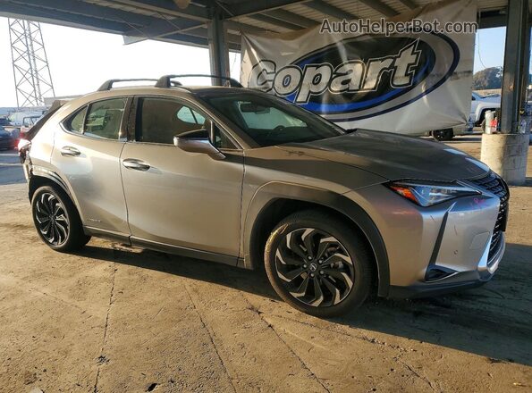 JTHP9JBH5L2025464 2020 LEXUS UX Gray 