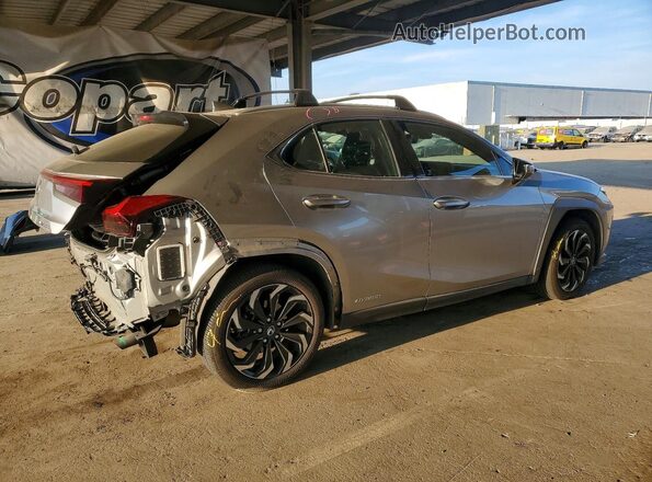 JTHP9JBH5L2025464 2020 LEXUS UX Gray 