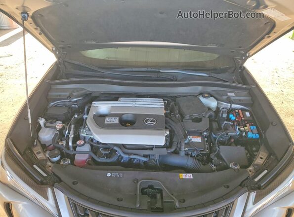 JTHP9JBH5L2025464 2020 LEXUS UX Gray 