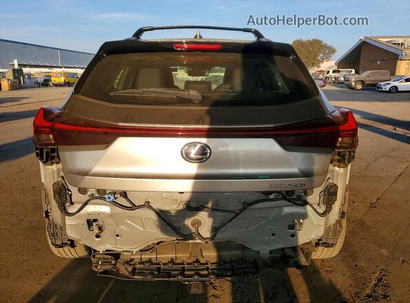JTHP9JBH5L2025464 2020 LEXUS UX Gray 