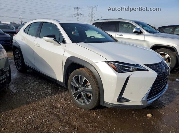 JTHP9JBH6L2032584 2020 LEXUS UX White Передня права чверть