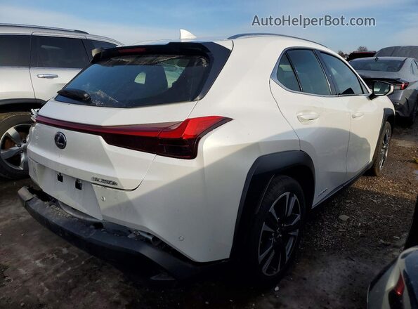 JTHP9JBH6L2032584 2020 LEXUS UX White Задня права чверть