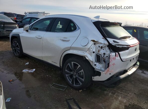 JTHP9JBH6L2032584 2020 LEXUS UX White Задня ліва чверть
