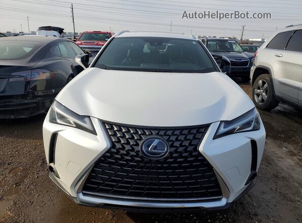 JTHP9JBH6L2032584 2020 LEXUS UX White Вид спереду