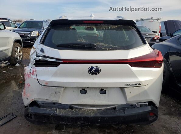 JTHP9JBH6L2032584 2020 LEXUS UX White Вид ззаду