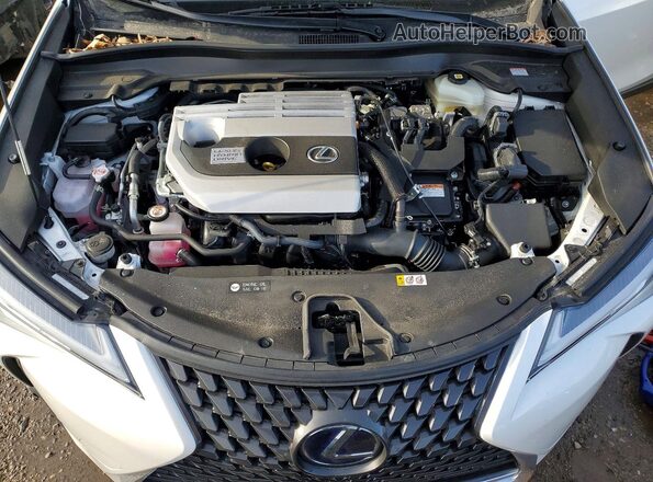 JTHP9JBH6L2032584 2020 LEXUS UX White Вид задньої частини салону