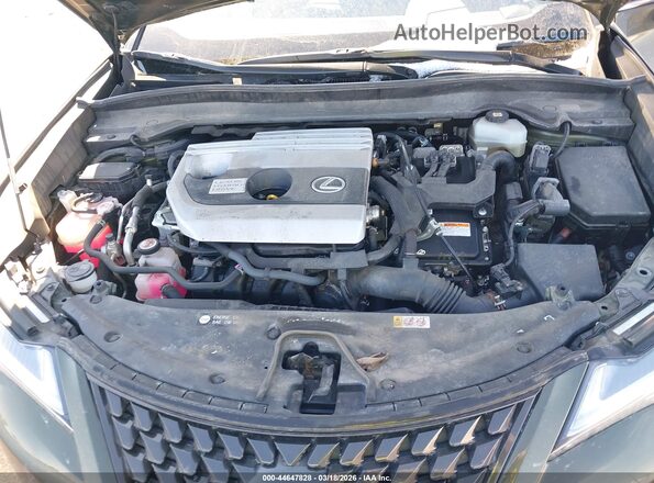 JTHP9JBH9L2027282 2020 LEXUS UX 250H Зеленый Вид сзади