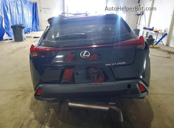 JTHP9JBH9R2078452 2024 LEXUS UX Черный Вид сзади