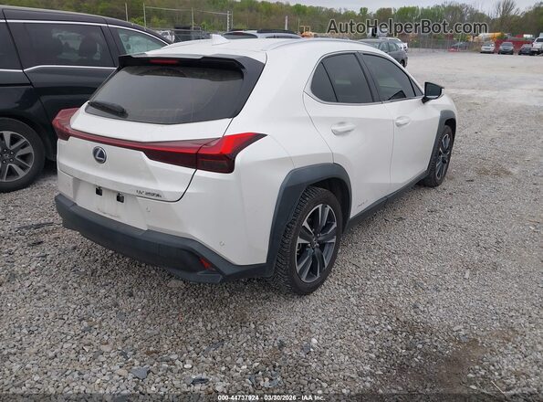JTHP9JBHXM2040303 2021 LEXUS UX 250H White Հետևի աջ