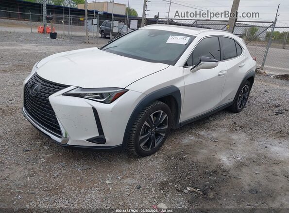 JTHP9JBHXM2040303 2021 LEXUS UX 250H White Առջևի ձախ երեք քառորդ տեսարան