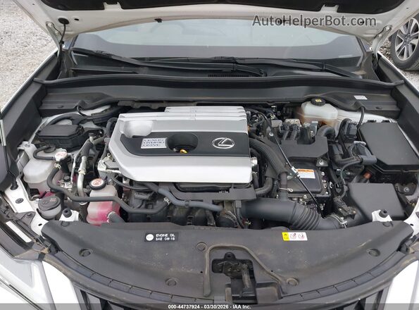 JTHP9JBHXM2040303 2021 LEXUS UX 250H White Հետևի տեսք