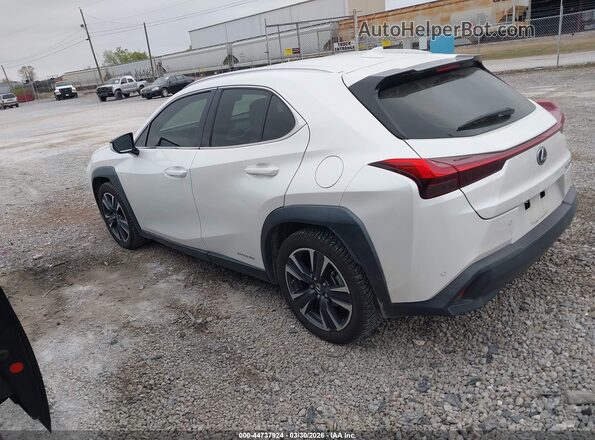 JTHP9JBHXM2040303 2021 LEXUS UX 250H White Հետևի ձախ