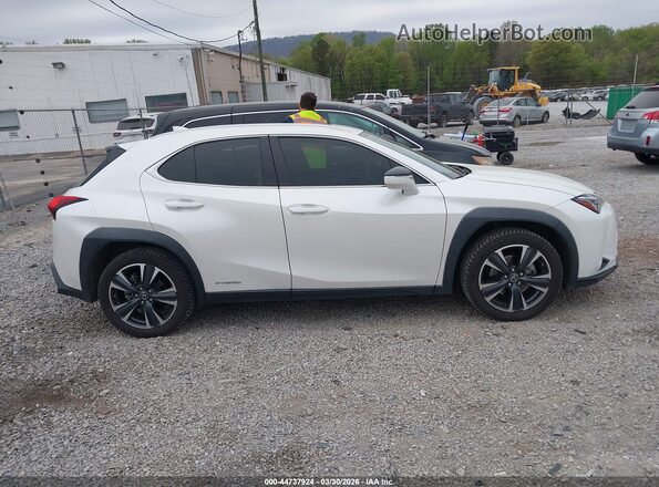 JTHP9JBHXM2040303 2021 LEXUS UX 250H White Սալոնի հետևի տեսք