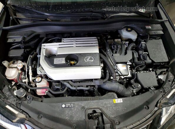 JTHR9JBH0M2050976 2021 LEXUS UX Черный Вид задней части салона