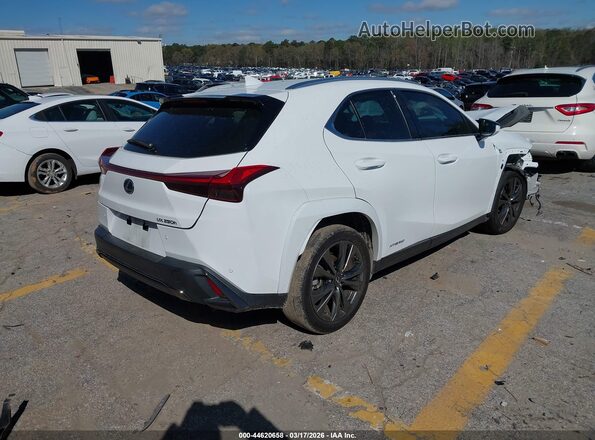 JTHR9JBH6N2062020 2022 LEXUS UX 250H White Հետևի աջ