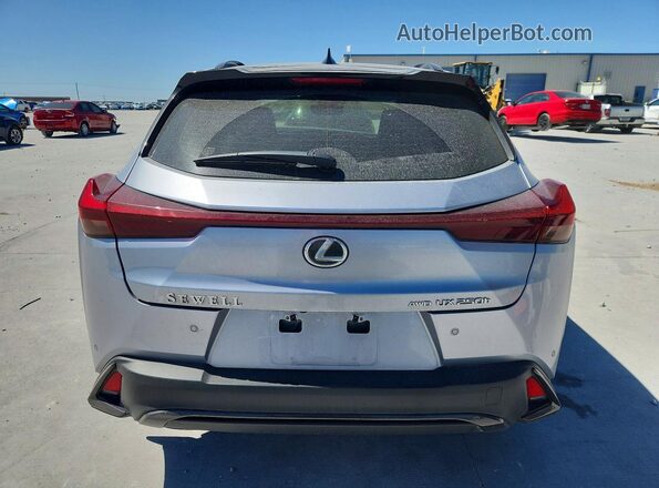 JTHR9JBHXR2079134 2024 LEXUS UX Silver Հետևի տեսք