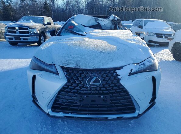 JTHUCJDH0S2008636 2025 LEXUS UX White წინა ხედი