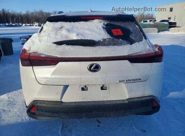 JTHUCJDH0S2008636 2025 LEXUS UX White უკანა ხედი