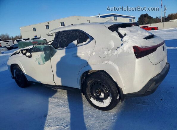 JTHUCJDH0S2008636 2025 LEXUS UX White უკანა მარცხენა