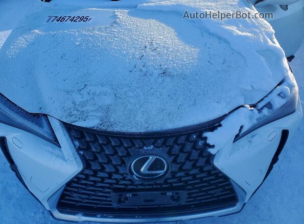 JTHUCJDH0S2008636 2025 LEXUS UX White უკანა სალონის ხედი