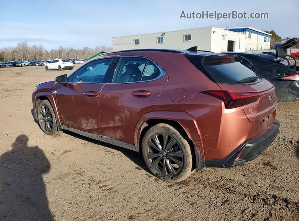 JTHUCJDH3S2003155 2025 LEXUS UX Orange უკანა მარცხენა