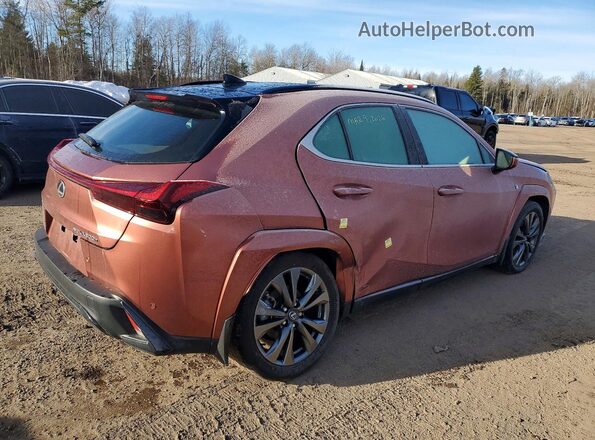 JTHUCJDH3S2003155 2025 LEXUS UX Orange უკანა მარჯვენა