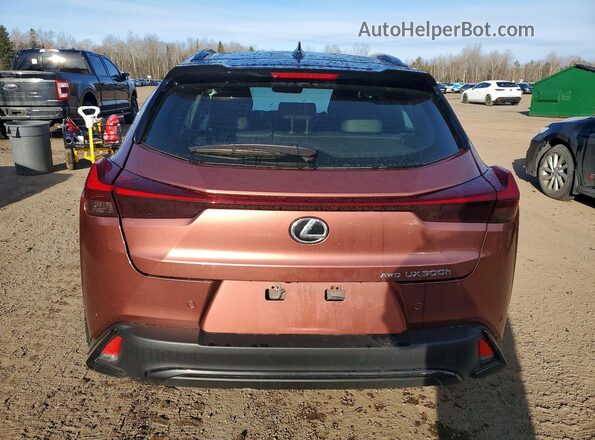 JTHUCJDH3S2003155 2025 LEXUS UX Orange უკანა ხედი