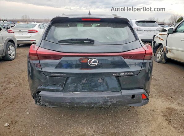 JTHUCJDH6S2005997 2025 LEXUS UX Black Вид ззаду