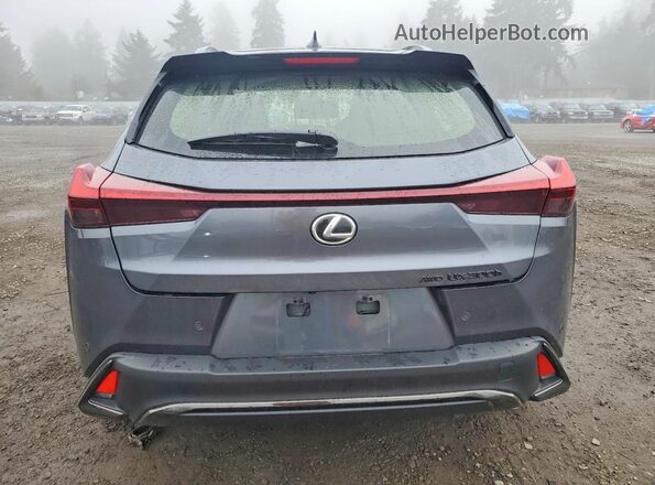 JTHUCJDH6S2012285 2025 LEXUS UX Gray Widok z tyłu