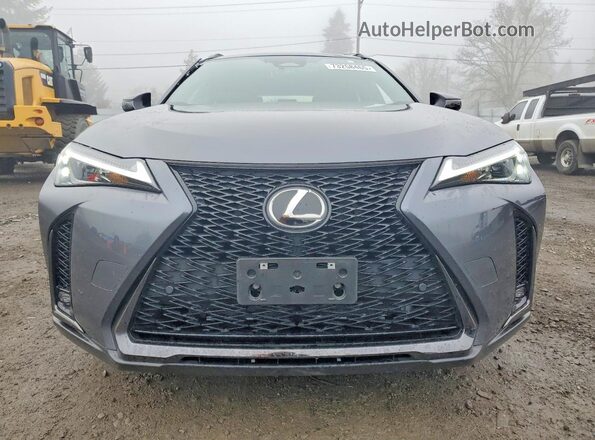 JTHUCJDH6S2012285 2025 LEXUS UX Gray Widok z przodu
