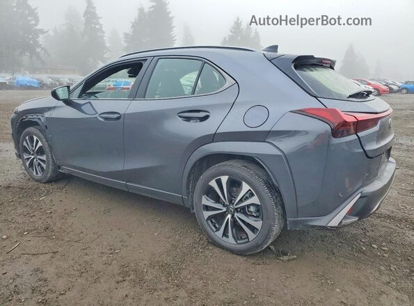 JTHUCJDH6S2012285 2025 LEXUS UX Gray Tył lewy
